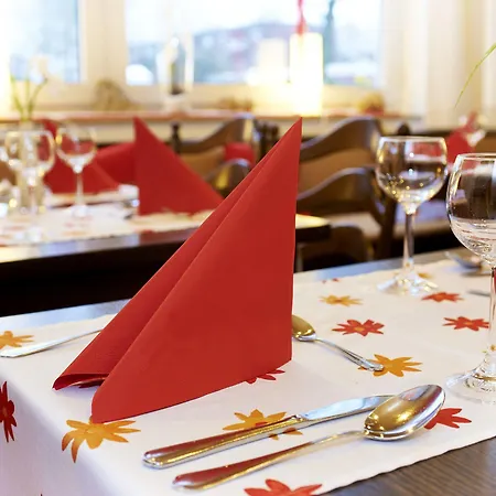 Hotel Haus Niemann 3*